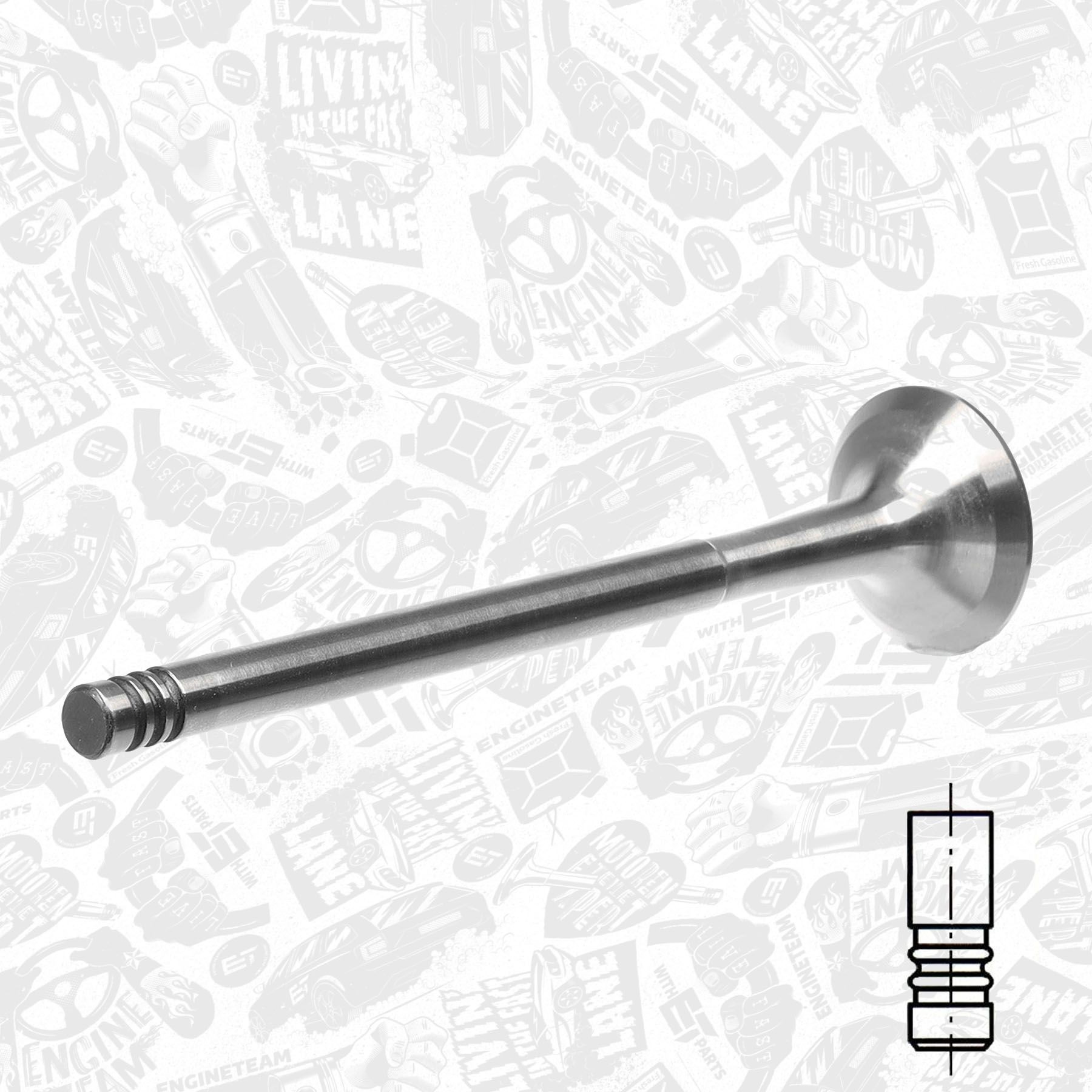 Válvula de escape General Motors 55239748